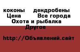 коконы    дендробены › Цена ­ 25 - Все города Охота и рыбалка » Другое   